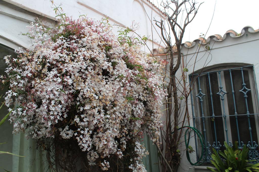 Casa Colonia Βίλα La Línea de la Concepción Εξωτερικό φωτογραφία